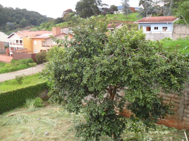 0 para Casas - Venda em Campos do Jordão